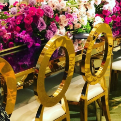 Chair Gold O 6 1765550890 Gold Olympia-O Back Chairs